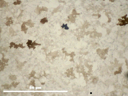 Graphene Film on Ni/SiO2/Si 100mm diameter