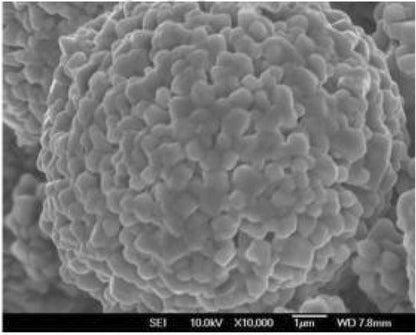 LiNiCoMnO2 (Ni:Co:Mn=8:1:1, NCM811) Powder for Li-ion Battery 200g/bag - EQ-Lib-LNCM811