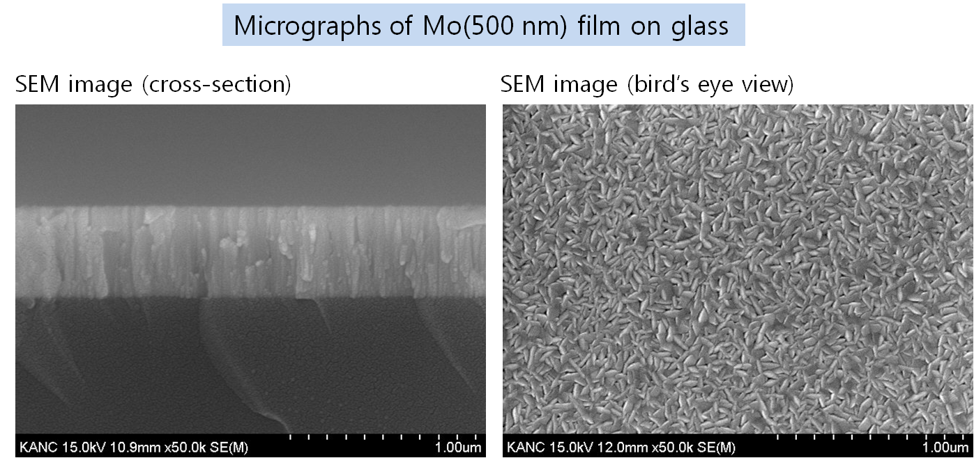 Mo-Coated Sodalime Glass